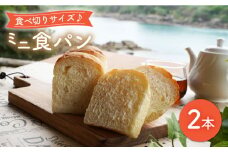  食べきりサイズ♪ミニ食パン2本＜岡崎製パン所＞ [CEP037]