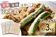 栽培期間中農薬不使用 玄米麹 （乾燥米麹） 九州産 約3kg〈川添酢造有限会社〉 [CDN062] 長崎 西海 味噌づくり 麹 みそ 手作り 味噌 麹 