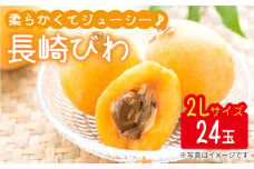 【5月上旬より順次発送】 びわ 2Lサイズ 24玉（約1kg～1.5kg）＜代田浩人＞ [CEO001] 西海市 びわ ビワ 琵琶 果物 フルーツ 2L 贈答 ギフト