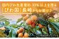 びわ ビワ 琵琶