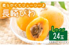 びわ Lサイズ 24玉（約1kg） 西海市 びわ ビワ 果物 フルーツ Lサイズ ＜代田浩人＞ [CEO002]