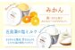 ジェラート 6個