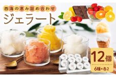 おまかせ ジェラート 12個＜みかんドーム＞ [CAI027] ジェラート アイス じぇらーと ジェラート 果物 旬 ジェラート 贈答 ギフト 贈り物 ジェラート お中元