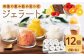 ジェラート 12個