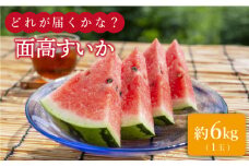 【どれが届くかな？】面高すいか 約6kg 1玉 九州 長崎県 スイカ 瓜 ＜太田幸男＞ [CCN016]