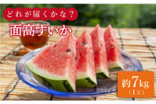 【どれが届くかな？】 面高すいか 約7kg×1玉 九州 長崎県 スイカ 瓜＜太田幸男＞ [CCN017]