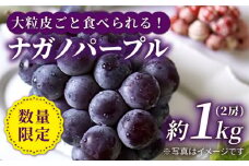 ぶどう 【数量限定】【種なし皮ごと！】ナガノパープル 約1kg（2房）＜山田果樹園＞ [CCX003] ぶどう ブドウ 巨峰 西海市産 フルーツ 果物 ぶどう