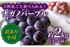 ぶどう 【訳あり】【数量限定】【種なし皮ごと！】ナガノパープル 約2kg（5～6房）＜山田果樹園＞ [CCX004] ぶどう ブドウ 巨峰 西海市産 果物 ぶどう