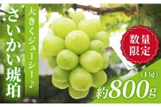 マスカット 【先行予約】さいかい琥珀（雄宝）約800g（1房）＜山田果樹園＞ [CCX005] ぶどう ブドウ シャインマスカット マスカット 種なし 西海市産