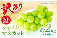 シャインマスカット 【 訳あり 】【糖度18以上！】西海シャイン物語約2kg（5～6房）＜山田果樹園＞[CCX006] 長崎 西海 シャインマスカット マスカット ぶどう 高糖度 ますかっと 果物 フルーツ 贈答 