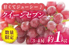 ぶどう 【先行予約】【種なし皮ごと！】 クイーンセブン 約1kg（3～4房）＜山田果樹園＞ [CCX007] ぶどう ブドウ 種なし 西海市産 ぶどう 果物 フルーツ