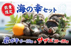 【数量限定】 贅沢！海の幸セット 岩ガキ（6個～10個）& サザエ（10個～20個）＜ハマフジ水産＞ [CES005]