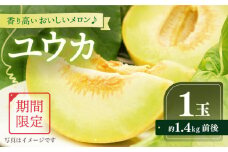 メロン 【先行予約】 大島 メロン 「ユウカ」 大玉 1玉 （1.4kg前後）  メロン めろん メロン 果物 フルーツ 長崎 西海市  ＜大島造船所農産G＞ [CCK029]