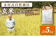 【 新米先行予約 】2025年10月より順次発送 【木村式自然栽培】 玄米 くまみのり 約 5kg ＜ハマソウファーム＞ [CBR018]