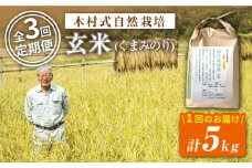 【 新米先行予約 】2025年10月より順次発送 【3回定期便】【木村式自然栽培】 玄米 くまみのり 約 5kg ＜ハマソウファーム＞ [CBR021]  長崎 西海 くまみのり 玄米 米 5kg