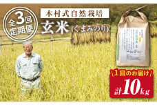 【 新米先行予約 】2025年10月より順次発送 【3回定期便】【木村式自然栽培】 玄米 くまみのり 約 10kg ＜ハマソウファーム＞ [CBR022]  長崎 西海 くまみのり 玄米 米 5kg 10kg