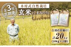 【 新米先行予約 】2025年10月より順次発送 【3回定期便】【木村式自然栽培】 玄米 くまみのり 約 20kg ＜ハマソウファーム＞ [CBR023]  長崎 西海 くまみのり 玄米 米 5kg 10kg 20kg