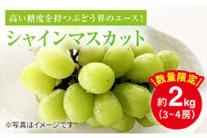 【数量限定】 とにかく甘い！シャインマスカット約2kg（3房～4房）＜岡本ぶどう園＞ [CEN011]