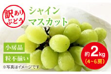 【2021年度ランキング1位獲得！】【数量限定】 【訳あり】とにかく甘い！シャインマスカット約2kg（4房～6房）＜岡本ぶどう園＞ [CEN012]