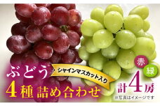 【数量限定】【贈答用にも♪】 ぶどう4種詰め合わせ ＜岡本ぶどう園＞ [CEN013]