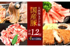 【訳あり】【大人気こま切れ入り♪】大西海SPF豚 国産豚 豚肉4種類 1.2kgセット 【大西海ファーム食肉加工センター】 [CEK166]