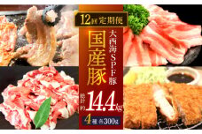 【訳あり】【12回定期便】【大人気こま切れ入り♪】大西海SPF豚 国産豚 豚肉4種類 1.2kgセット 【大西海ファーム食肉加工センター】 [CEK169]