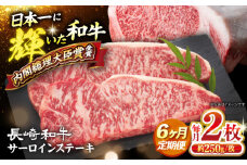 サーロイン 【6回定期便】 長崎和牛 サーロイン ステーキ 計500g（2枚）＜大西海ファーム食肉加工センター＞ [CEK180] 肉 牛肉 サーロインステーキ サーロイン 焼肉 さーろいん お取り寄せサーロイン 訳あり 