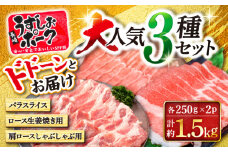 【スピード配送】【お盆期間中も発送】豚肉 豚スライス 長崎うずしおポーク 大人気3種 セット 【 訳あり 】 ＜スーパーウエスト＞ [CAG218] 長崎 西海 豚肉 豚スライス しゃぶしゃぶ 豚 豚 スライス しゃぶしゃぶ