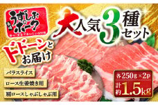 【2週間以内発送】豚肉 豚スライス 長崎うずしおポーク 大人気3種 セット 【 訳あり 】 ＜スーパーウエスト＞ [CAG218] 長崎 西海 豚肉 豚スライス しゃぶしゃぶ 豚 豚 スライス しゃぶしゃぶ