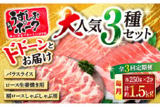 【訳あり】【3回定期便】長崎うずしおポーク 大人気3種 セット 国産豚 ＜スーパーウエスト＞ [CAG219]