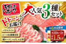 【訳あり】【6回定期便】長崎うずしおポーク 大人気3種 セット 国産豚 ＜スーパーウエスト＞ [CAG220]