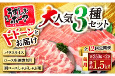 【訳あり】【12回定期便】長崎うずしおポーク 大人気3種 セット 国産豚 ＜スーパーウエスト＞ [CAG221]