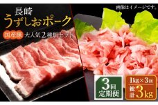 【訳あり】【3回定期便】長崎うずしおポーク 大人気2種 セット 計1000g 国産豚 ＜スーパーウエスト＞ [CAG223]