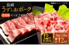 【訳あり】【12回定期便】長崎うずしおポーク 大人気2種 セット 計1000g 国産豚 ＜スーパーウエスト＞ [CAG225]
