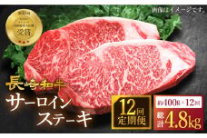 【12回定期便】長崎和牛 サーロイン ステーキ 計400g（2枚）＜スーパーウエスト＞ [CAG233] 肉 牛肉 サーロインステーキ サーロイン ステーキ 焼肉 さーろいん ステーキ