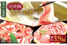 【ブランド豚】【3回定期便】【訳あり】うず潮ポーク 定期便 国産豚 ＜スーパーウエスト＞ [CAG250]