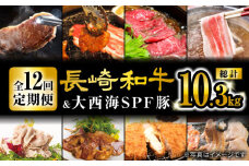 【12回定期便】 長崎和牛 大西海 SPF豚 ☆オールスター 定期便 ☆ ＜大西海ファーム＞ [CEK186] 長崎 西海 和牛 国産 SPF豚 国産豚 サーロインステーキ 定期便 人気 すき焼き スライス 便利 贈答 ギフト