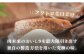 六日仕込み 角煮まんじゅう 6個