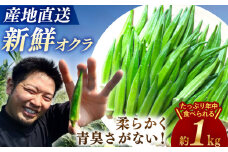 【順次配送】オクラ 約1kg ＜パッパラパー農園＞ [CFI001] 長崎 西海 朝採れ おくら オクラ 野菜 夏野菜 新鮮 やさい おくら 贈答 1万円 10000円 1万円以下 10000円以下