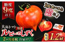 トマト 高糖度 【2026年3月より配送開始】【2回定期便】糖度9度以上！大島 トマト 特選「 ルビーのしずく 」約1.2kg＜大島造船所農産G＞ [CCK030] 長崎 西海 トマト とまと 大島トマト 高糖度 贈答 野菜 甘い 人気 トマト 高評価 定期便 新鮮