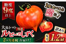 トマト 高糖度 【2026年3月より配送開始】【2回定期便】【 訳あり 】糖度9度以上！ 大島 トマト 特選「 ルビーのしずく 」約1.2kg＜大島造船所 農産グループ＞ [CCK031]  長崎 西海 トマト とまと 大島トマト 高糖度 贈答 訳あり トマト 不揃い 規格外 人気 高評価 甘い 新鮮 野菜 トマト