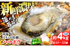 牡蠣 カキ 【着日指定可】西海 ブランド 牡蠣 「 ハマボウ 」 約4kg（40～50個）（中～大サイズ） カキ 牡蠣 生ガキ 4kg 日時指定 冷蔵 牡蠣 カキ 牡蠣 ＜ハマフジ水産＞ [CES006]