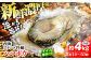 牡蠣 ハマボウ 4kg