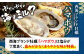 牡蠣 ハマボウ 4kg