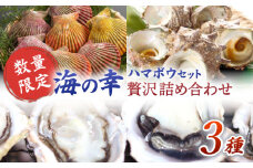 【数量限定】ハマボウセット 海の幸贅沢詰め合わせ ＜ハマフジ水産＞ [CES008]
