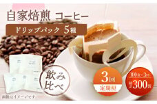 【飲み比べ】【3回定期便】ドリップバック 自家焙煎コーヒー 100袋（5種類×20袋） ＜giko coffee＞ [CFK038]