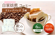 【飲み比べ】【6回定期便】ドリップバック 自家焙煎コーヒー 100袋（5種類×20袋） ＜giko coffee＞ [CFK039]