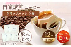 【飲み比べ】【12回定期便】ドリップバック 自家焙煎コーヒー 100袋（5種類×20袋） ＜giko coffee＞ [CFK040]