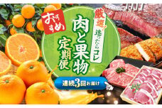 【1月発送開始】【3回 定期便 】 お肉 と 果物 ～見つけた！ 西海 の宝物 定期便 ～ [CZZ017] 長崎県 西海市 長崎和牛 サーロイン さーろいん ステーキ SPF豚 ブランド豚 とんかつ みかん ミカン  人気 定期便