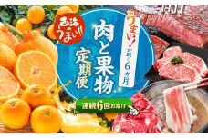 【1月発送開始】【6回定期便】 お肉と 果物 ～見つけた！ 西海 の宝物 定期便 ～ [CZZ018]  長崎県 西海市 長崎和牛 サーロイン さーろいん ステーキ SPF豚 ブランド豚 こま切れ みかん ミカン 不知火 人気 定期便 